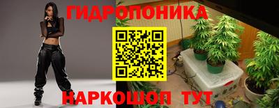 шишки Волжский