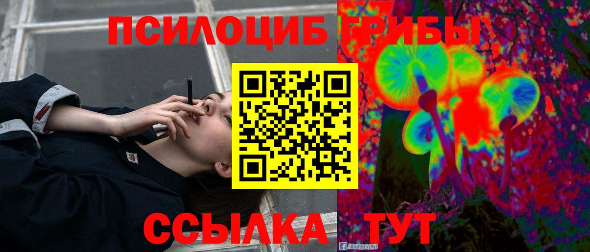 Галлюциногенные грибы MAGIC MUSHROOMS Зеленодольск