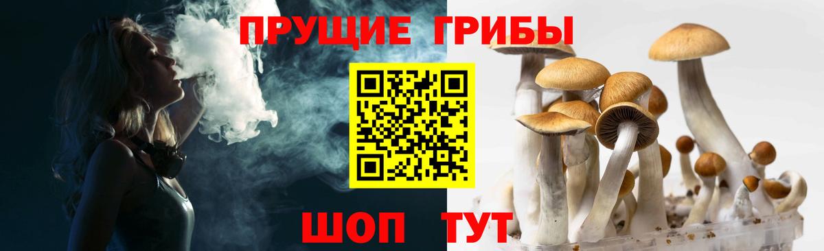 Зеленодольск  Псилоцибиновые грибы MAGIC MUSHROOMS  Вход с VPN 
